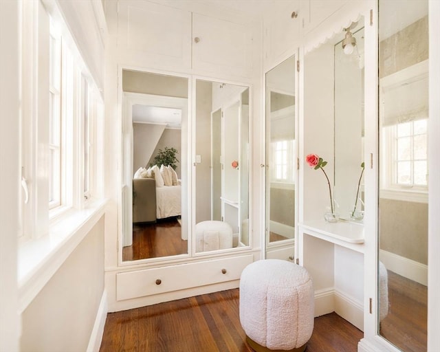 bathroom featuring hardwood / wood-style floors