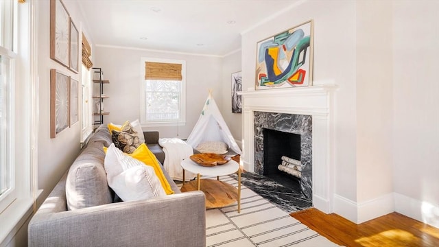 living area featuring ornamental molding, a fireplace, and light hardwood / wood-style floors