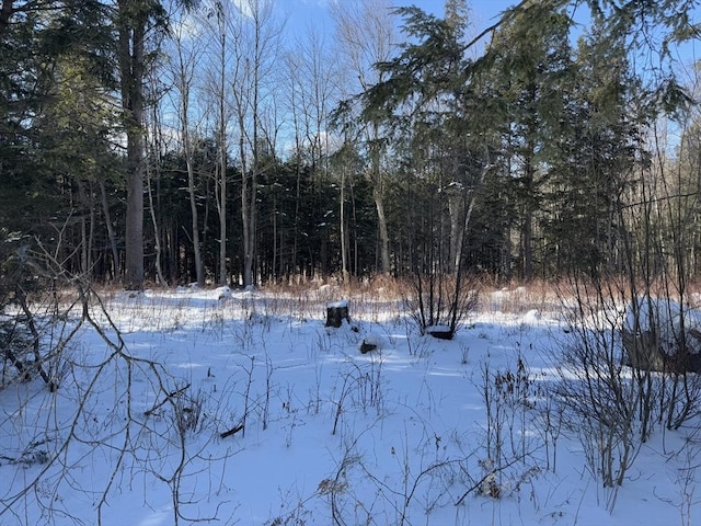 55 Stoney Brk, Becket MA, 01223 land for sale