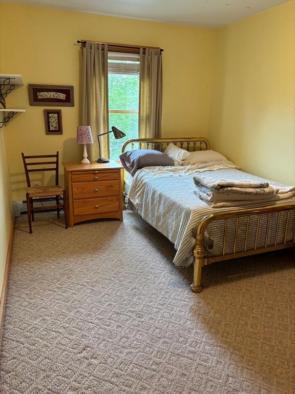 18 W Shore Dr, Goshen, MA 01032 - bedroom featuring carpet
