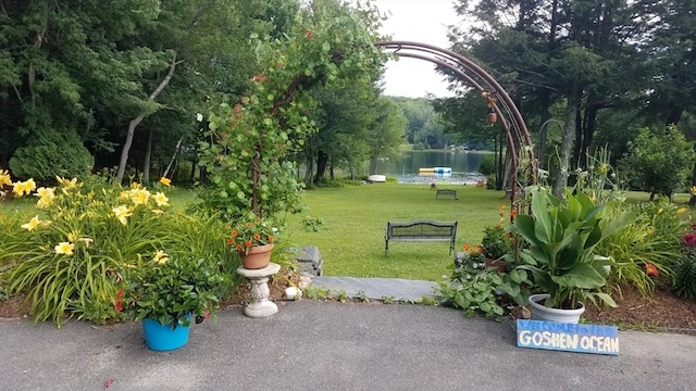 18 W Shore Dr, Goshen, MA 01032 - view of grassy yard with a water view