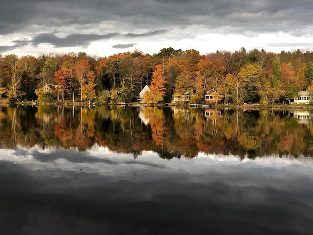 18 W Shore Dr, Goshen, MA 01032 - water view with a forest