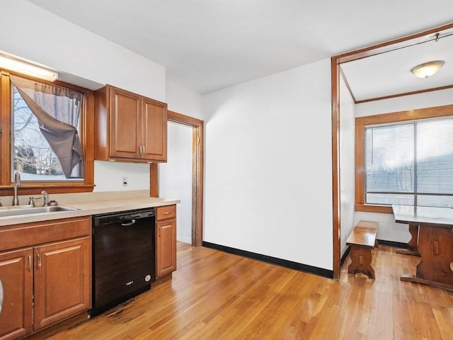 kitchen featuring black dishwasher, a healthy amount of sunlight, light wood-type flooring, and a sink