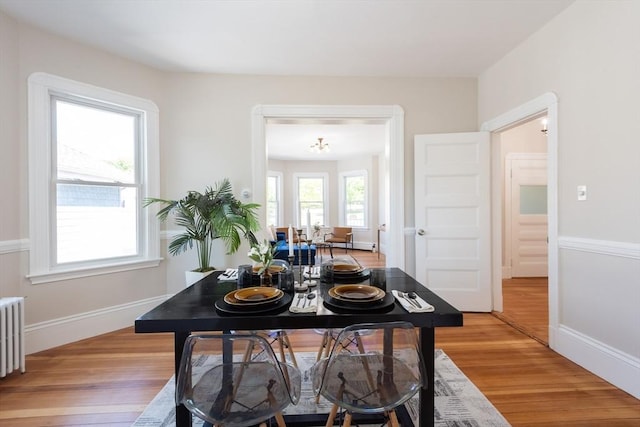 1690 Centre St Unit 2, Boston, MA 02132 - dining area featuring light wood finished floors, baseboards, and radiator