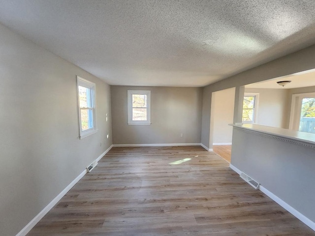 spare room featuring a healthy amount of sunlight, a textured ceiling, and light wood-type flooring