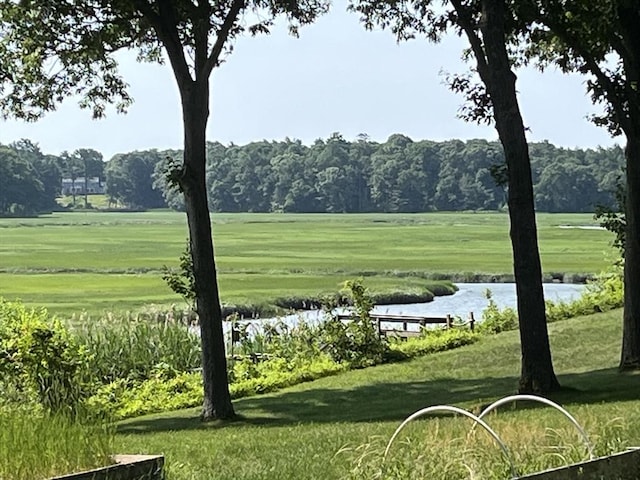 view of home's community with a water view and a yard