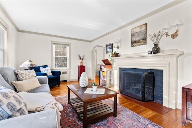 living room with crown molding, hardwood / wood-style floors, and radiator heating unit