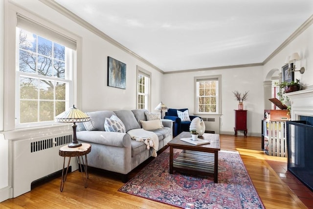 living room featuring wood-type flooring, radiator heating unit, and crown molding