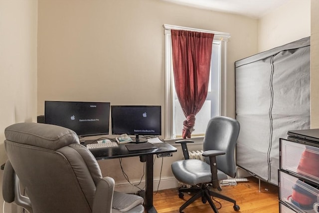 office featuring wood finished floors