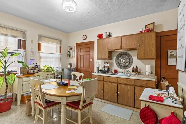 kitchen featuring sink and a textured ceiling