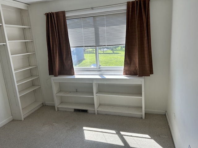 miscellaneous room featuring light colored carpet