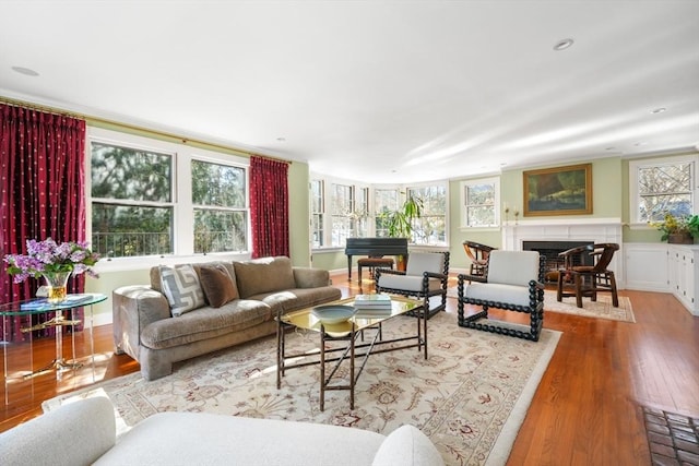 living room featuring baseboards, a fireplace, wood finished floors, and a healthy amount of sunlight