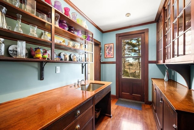 interior space featuring crown molding, a sink, baseboards, and wood finished floors