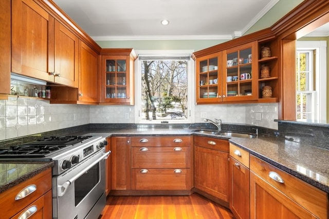 kitchen featuring dark stone counters, ornamental molding, high end stainless steel range, light wood-type flooring, and a sink