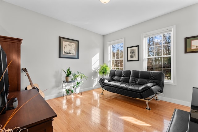 living room with hardwood / wood-style floors