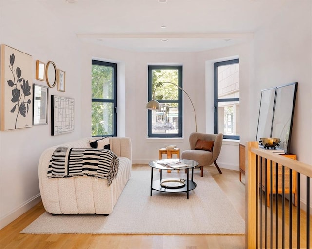 sitting room with baseboards and wood finished floors