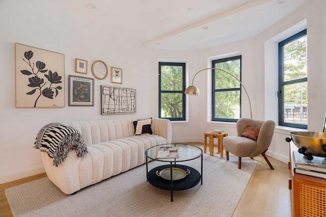 sitting room with baseboards and light wood-style floors