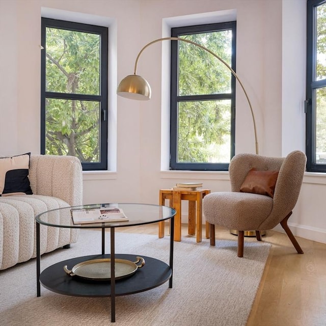 sitting room with a wealth of natural light and wood finished floors