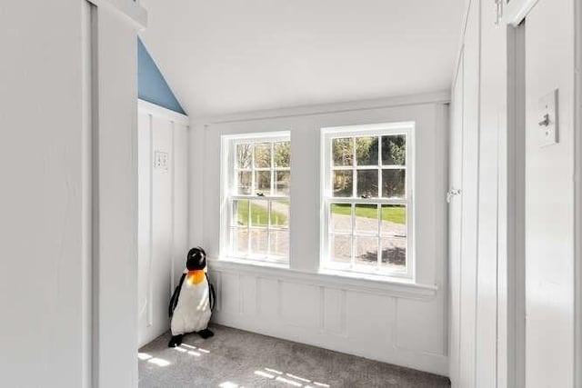 entryway featuring vaulted ceiling and carpet