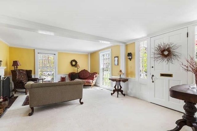 living area with carpet floors