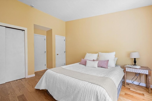 51 Nottingham Rd Unit 51, Grafton, MA 01519 - bedroom featuring wood finished floors and a closet