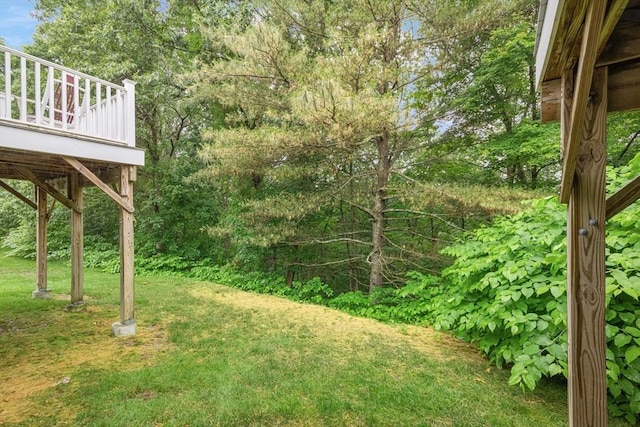 51 Nottingham Rd Unit 51, Grafton, MA 01519 - view of green lawn