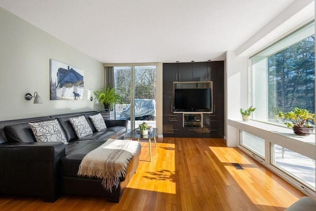 living room featuring wood finished floors and visible vents