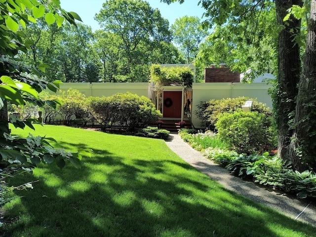 view of yard with entry steps and fence