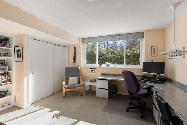 office featuring carpet floors