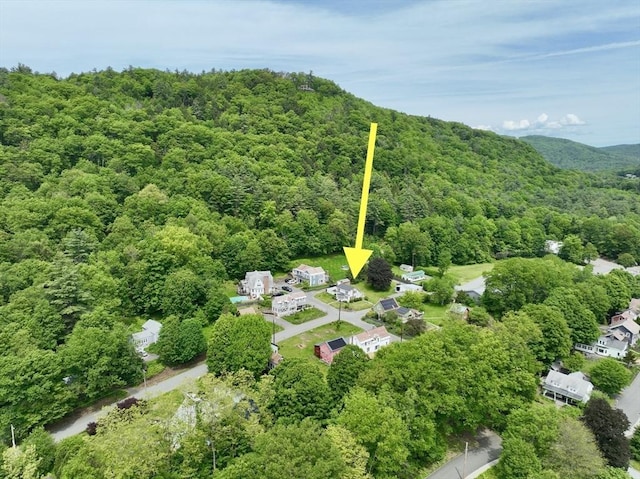 12 Wellington St, Buckland, MA 01370 - aerial view of a forest