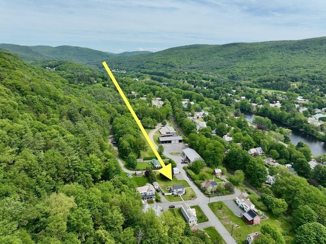 12 Wellington St, Buckland, MA 01370 - bird's eye view of a forest and a mountainous background
