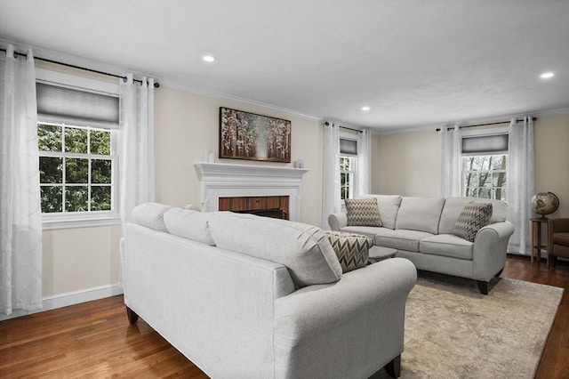 living room with a fireplace, ornamental molding, and dark hardwood / wood-style floors