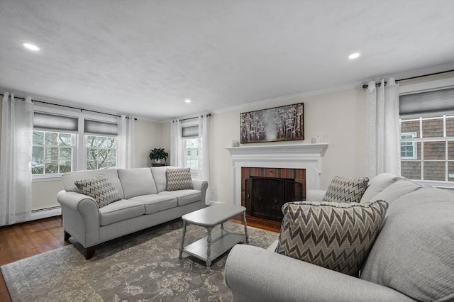 living room featuring dark wood-type flooring, a healthy amount of sunlight, a fireplace, and crown molding