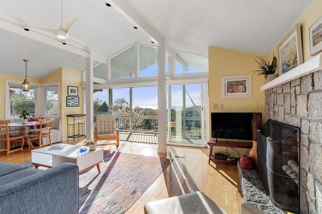 living room featuring wood finished floors and a stone fireplace
