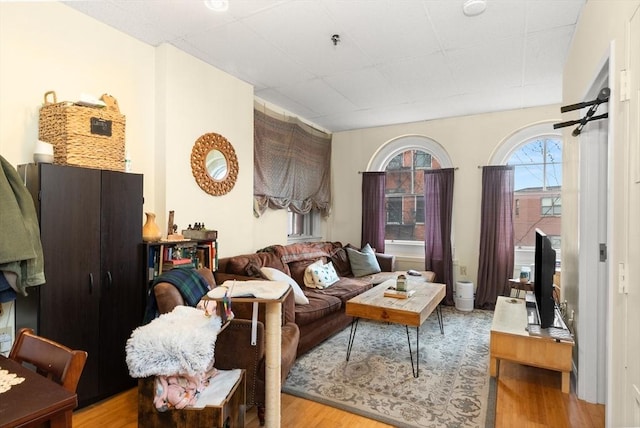 living room with wood finished floors