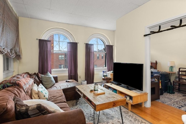 living room featuring wood finished floors