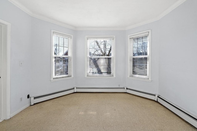 spare room with crown molding and carpet floors