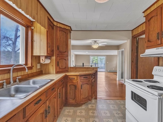 kitchen featuring a sink, white electric range oven, brown cabinetry, and under cabinet range hood