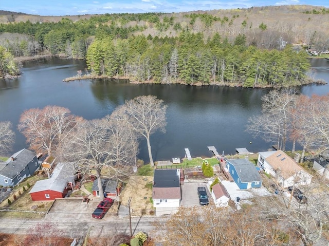 drone / aerial view featuring a view of trees and a water view