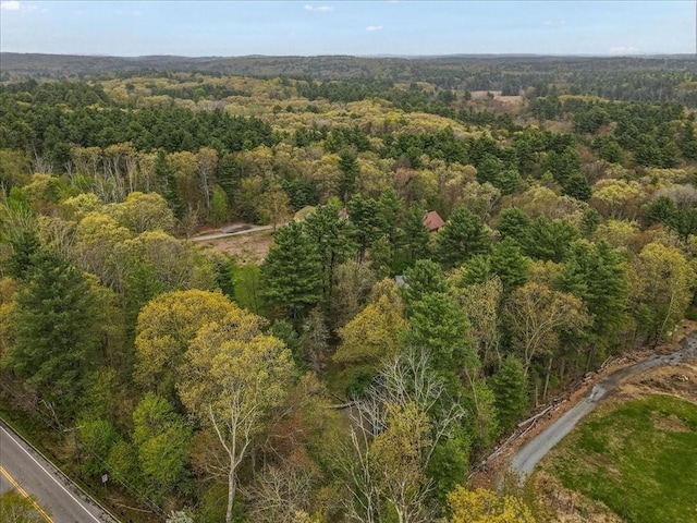 aerial overview of property's location featuring a forest