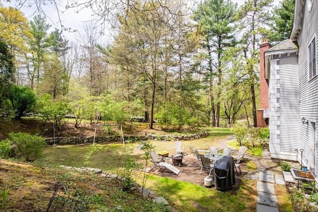 view of yard featuring a patio area