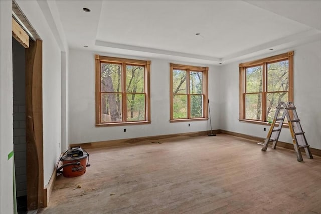 spare room with a raised ceiling, plenty of natural light, and wood finished floors