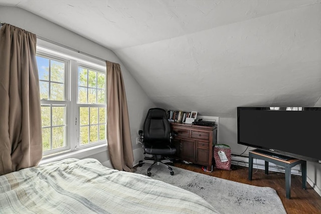 12 Callender Ave, Newport, RI 02840 - bedroom with lofted ceiling, multiple windows, and wood finished floors