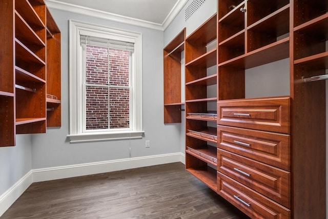 spacious closet with dark hardwood / wood-style floors