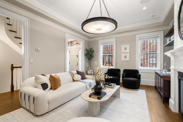 living room with wood-type flooring, ornamental molding, and a raised ceiling