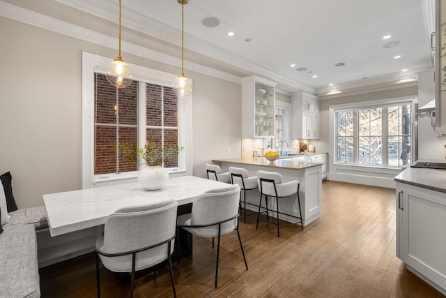 dining space with sink, ornamental molding, and dark hardwood / wood-style floors