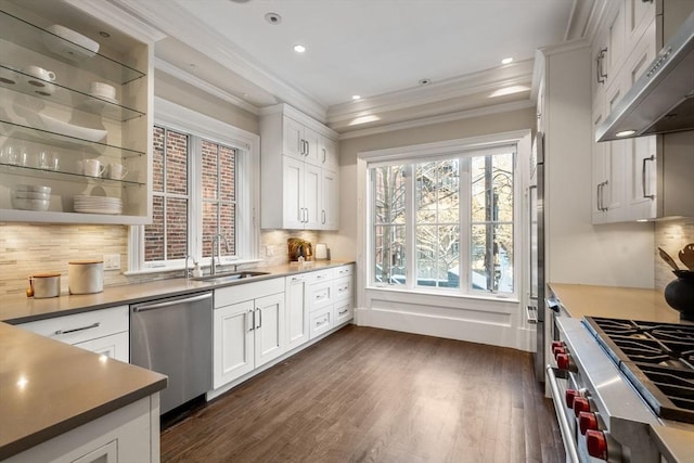 kitchen with sink, appliances with stainless steel finishes, dark hardwood / wood-style flooring, white cabinets, and backsplash