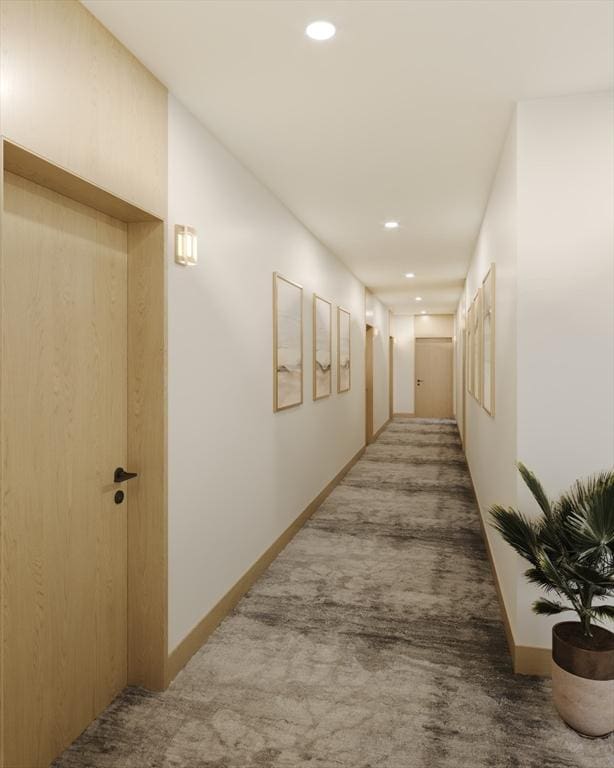 1395 Washington St Unit 205, Boston, MA 02118 - hall featuring carpet, recessed lighting, and baseboards