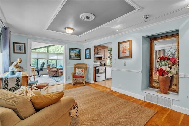 33 Dean St, Norton, MA 02766 - living area with ornamental molding, a tray ceiling, and light wood finished floors