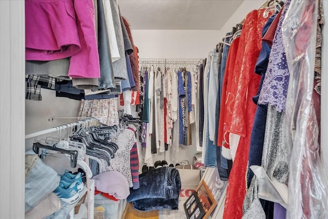 33 Dean St, Norton, MA 02766 - view of spacious closet